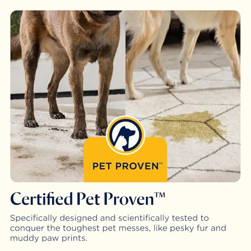 BISSELL SpotClean Pet Limpiador de Manchas Portátil para Alfombras